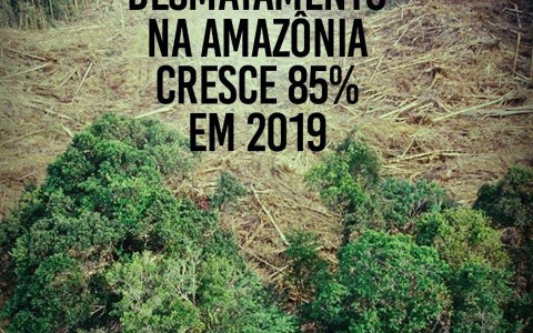 Desmatamento na Amazônia cresce 85% em 2019