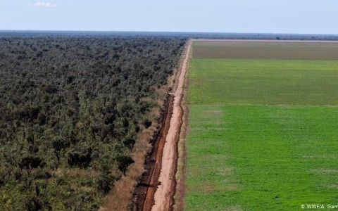 Desmatamento ilegal em latifúndios avança sobre o Cerrado
