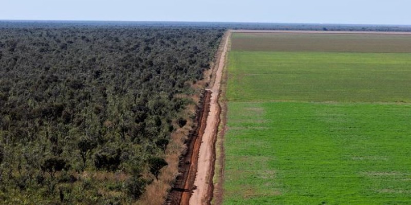 Desmatamento ilegal em latifúndios avança sobre o Cerrado