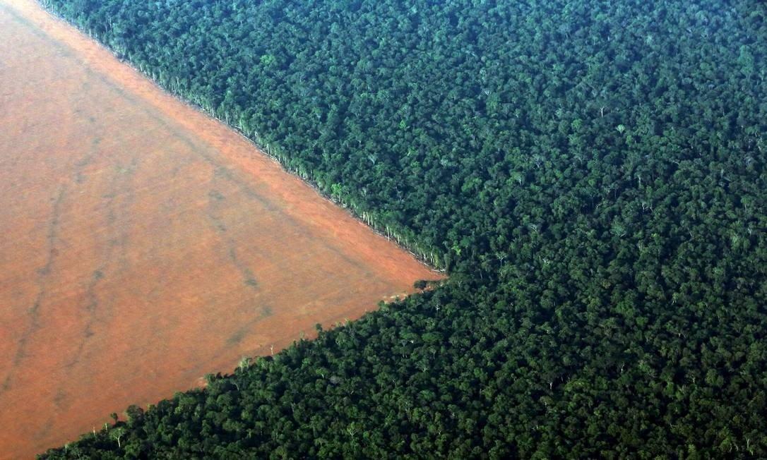 [Brasil é denunciado na ONU por desmantelamento de política ambiental]