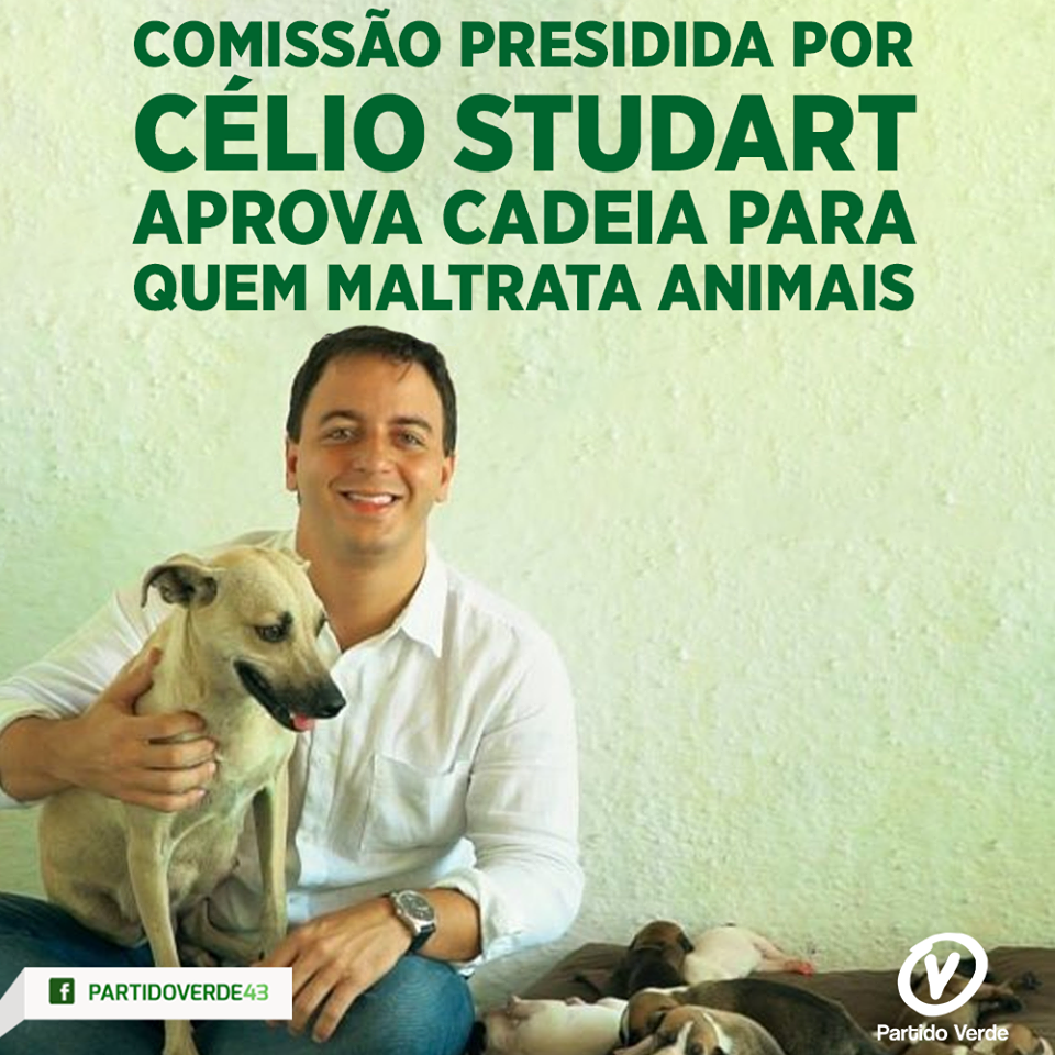 Comissão presidida por Célio Studart aprova cadeia para quem maltrata animais
