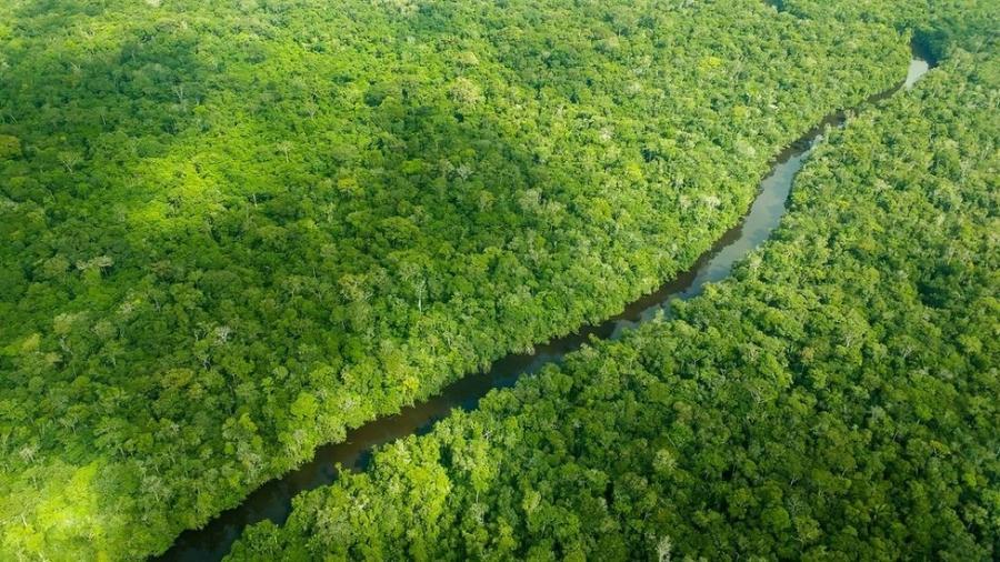 Saída é reforçar Fundo Amazônia, não criar novo, dizem analistas na COP-25.