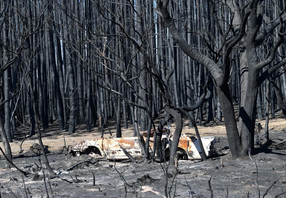 Ondas de calor e ventos fortes ameaçam reacender incêndios na Austrália Ondas de calor e ventos fortes ameaçam reacender incêndios na Austrália