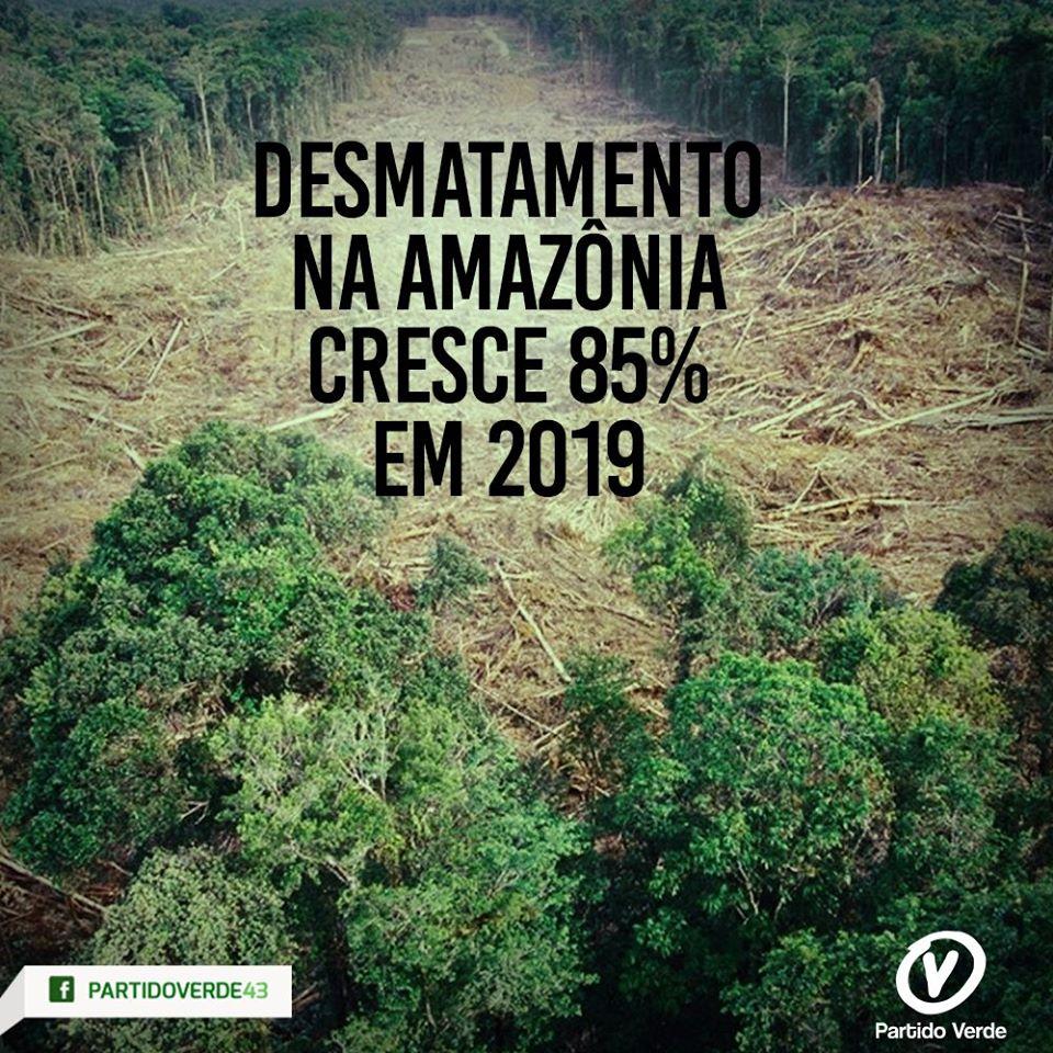 Desmatamento na Amazônia cresce 85% em 2019