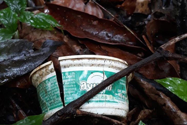 Pesquisa encontra lixo em meio à floresta amazônica