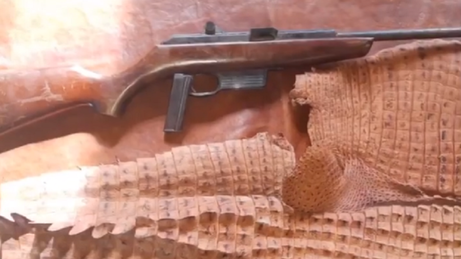 Polícia apreende peles e bolsas de animais silvestres em selaria de SP
