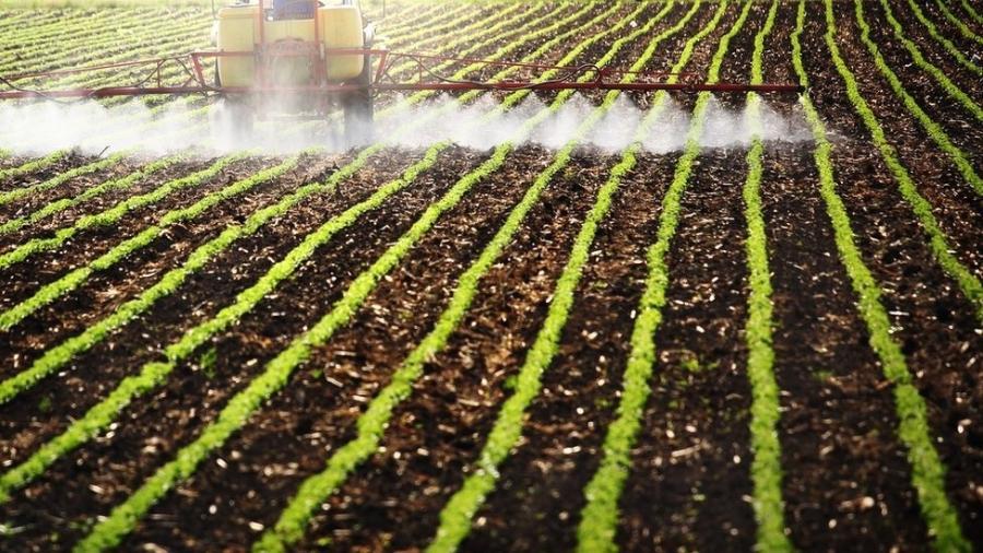 Ministério da Agricultura dá licença a agrotóxicos não analisados em 60 dias 