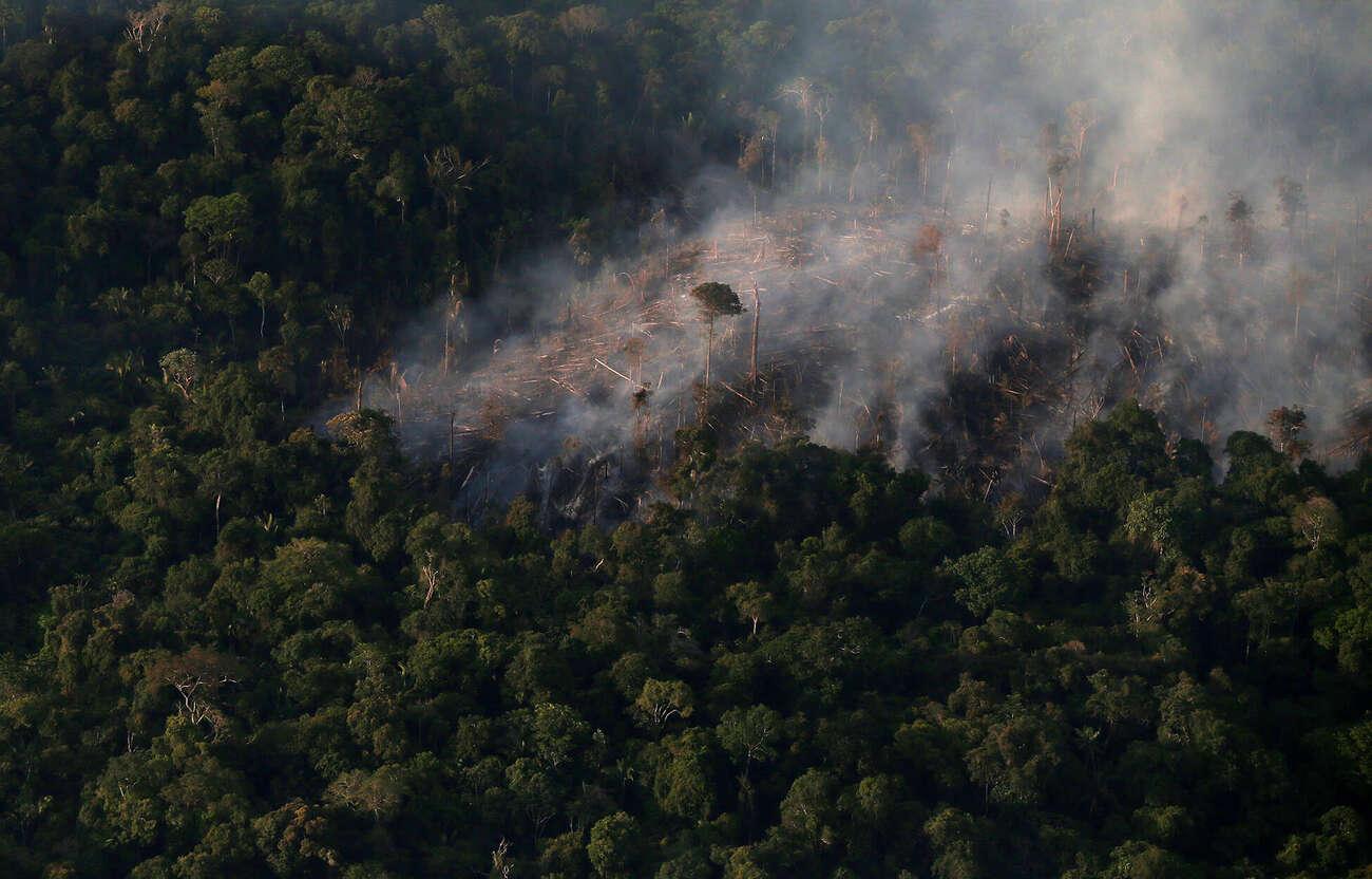 'A grande mentira verde': como a destruição da Amazônia vai além do desmatamento