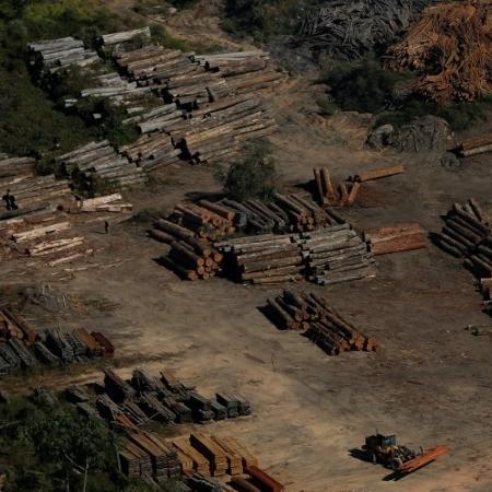 Brasil exportou milhares de carregamentos não autorizados de madeira de porto na Amazônia.
